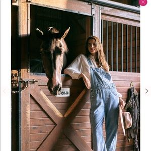 Free people Ziggy overalls